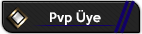 pvpuye